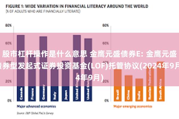 股市杠杆操作是什么意思 金鹰元盛债券E: 金鹰元盛债券型发起式证券投资基金(LOF)托管协议(2024年9月)
