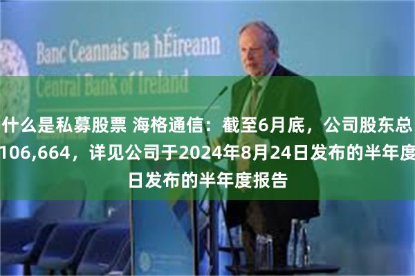 什么是私募股票 海格通信：截至6月底，公司股东总数为106,664，详见公司于2024年8月24日发布的半年度报告
