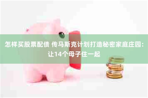 怎样买股票配债 传马斯克计划打造秘密家庭庄园：让14个母子住一起