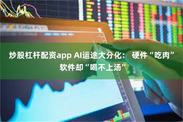 炒股杠杆配资app AI运途大分化： 硬件“吃肉” 软件却“喝不上汤”