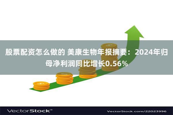 股票配资怎么做的 美康生物年报摘要：2024年归母净利润同比增长0.56%
