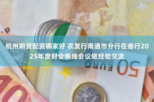 杭州期货配资哪家好 农发行南通市分行在省行2025年度财会条线会议做经验交流