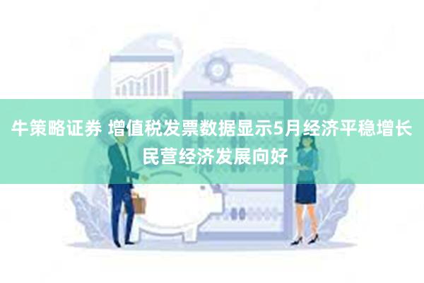 牛策略证券 增值税发票数据显示5月经济平稳增长 民营经济发展向好